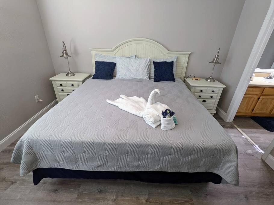 Nice & Cozy - Vacation Home คิสซิมมี ภายนอก รูปภาพ
